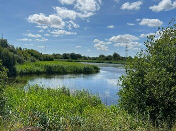 Biodiversité : un patrimoine à préserver